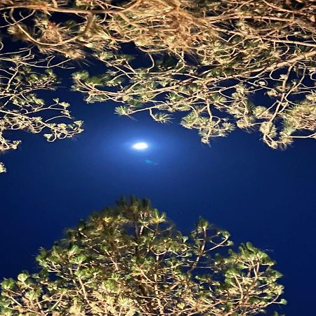 Blusalzz Escapade Resort ランズドーン エクステリア 写真